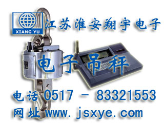 無(wú)線(xiàn)電子吊秤,無(wú)線(xiàn)吊秤,無(wú)線(xiàn)吊秤廠家,電子吊秤,電子吊秤廠家