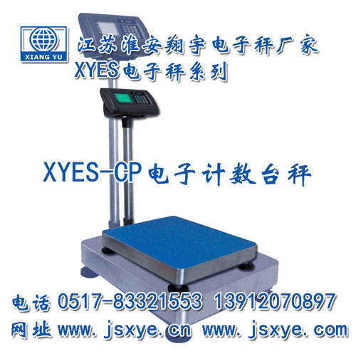 計(jì)數(shù)臺(tái)秤,計(jì)數(shù)臺(tái)秤廠家,臺(tái)秤,臺(tái)秤廠家,江蘇臺(tái)秤,淮安臺(tái)秤,XYES
